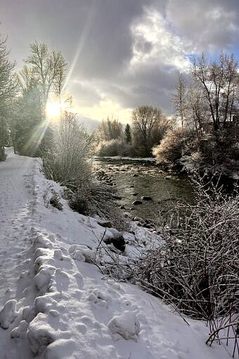 Nine Favorite Things | halfbakedharvest.com