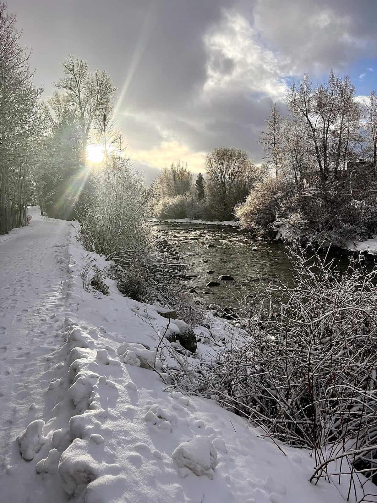 Nine Favorite Things | halfbakedharvest.com