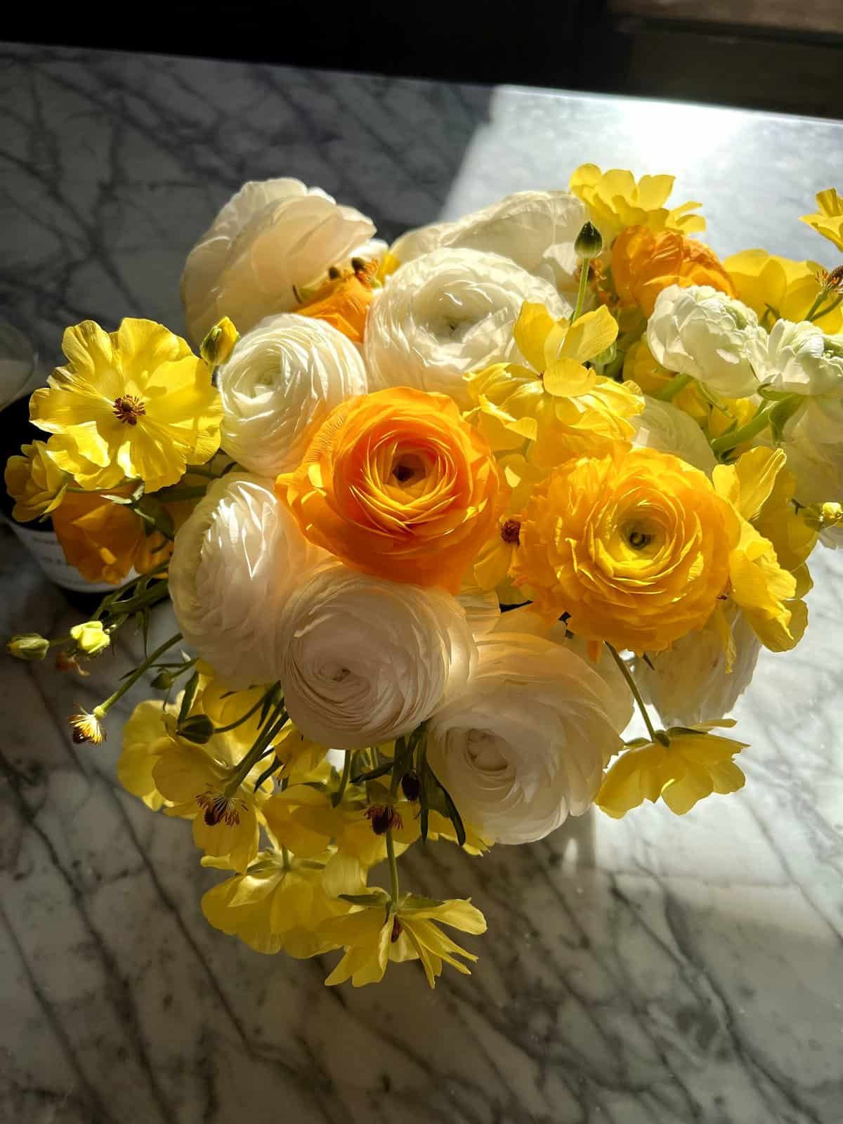 Nine Favorite Things | halfbakedharvest.com