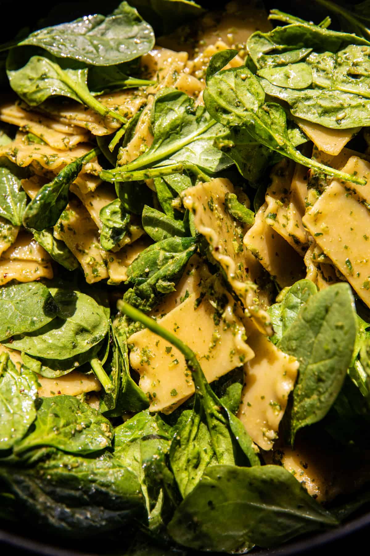 Sheet Pan White Pesto Lasagna | halfbakedharvest.com