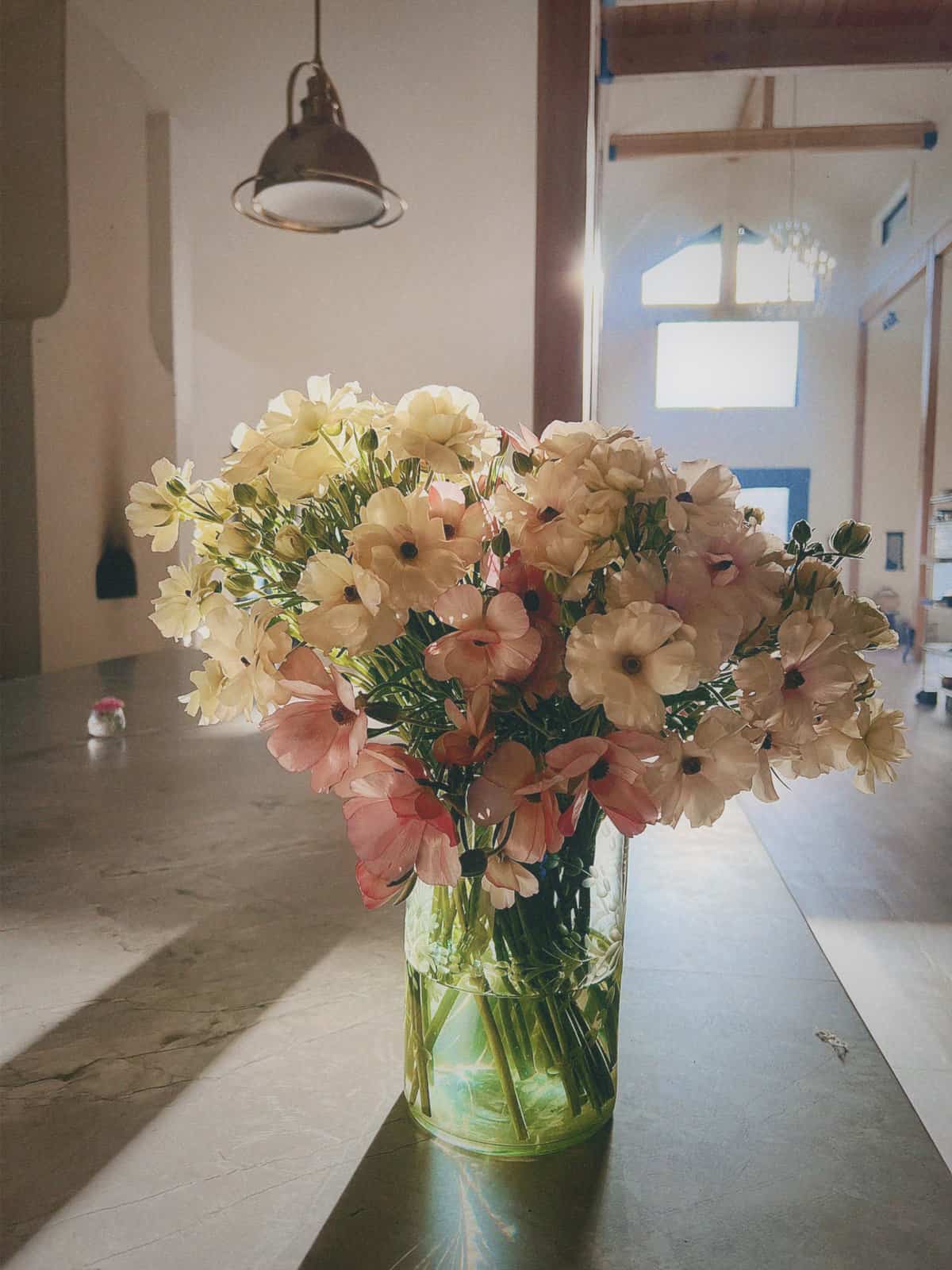 Nine Favorite Things | halfbakedharvst.com