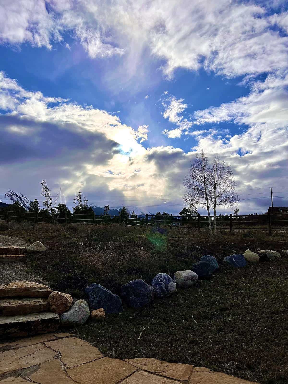 Nine Favorite Things | halfbakedharvest.com