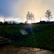 Nine Favorite Things | halfbakedharvest.com