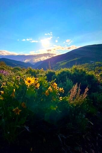 Nine Favorite Things | halfbakedharvest.com