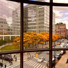 Nine Favorite Things