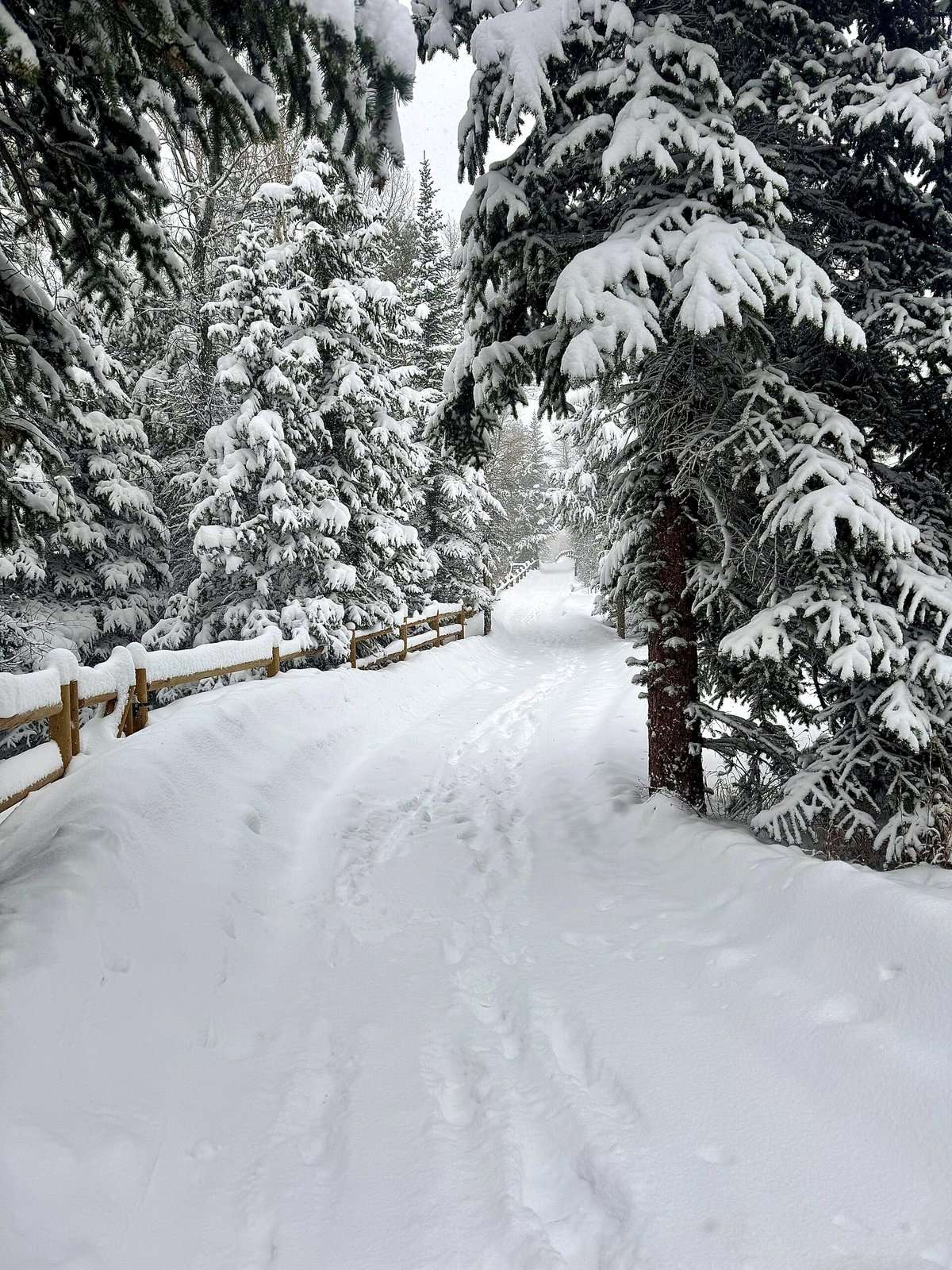 Nine Favorite Things | halfbakedharvest.com