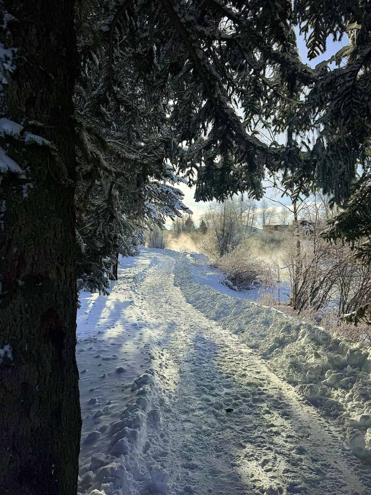 Nine Favorite Things