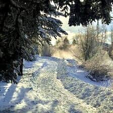 Nine Favorite Things