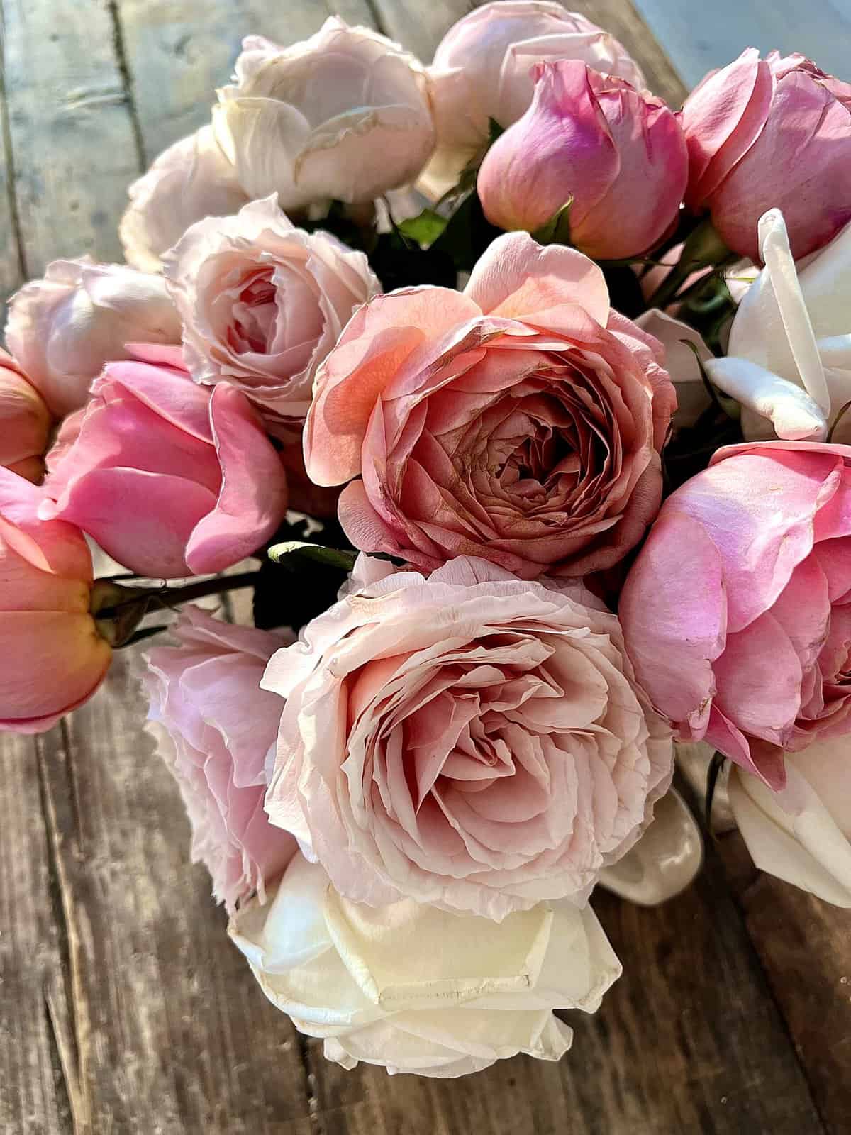 Nine Favorite Things
