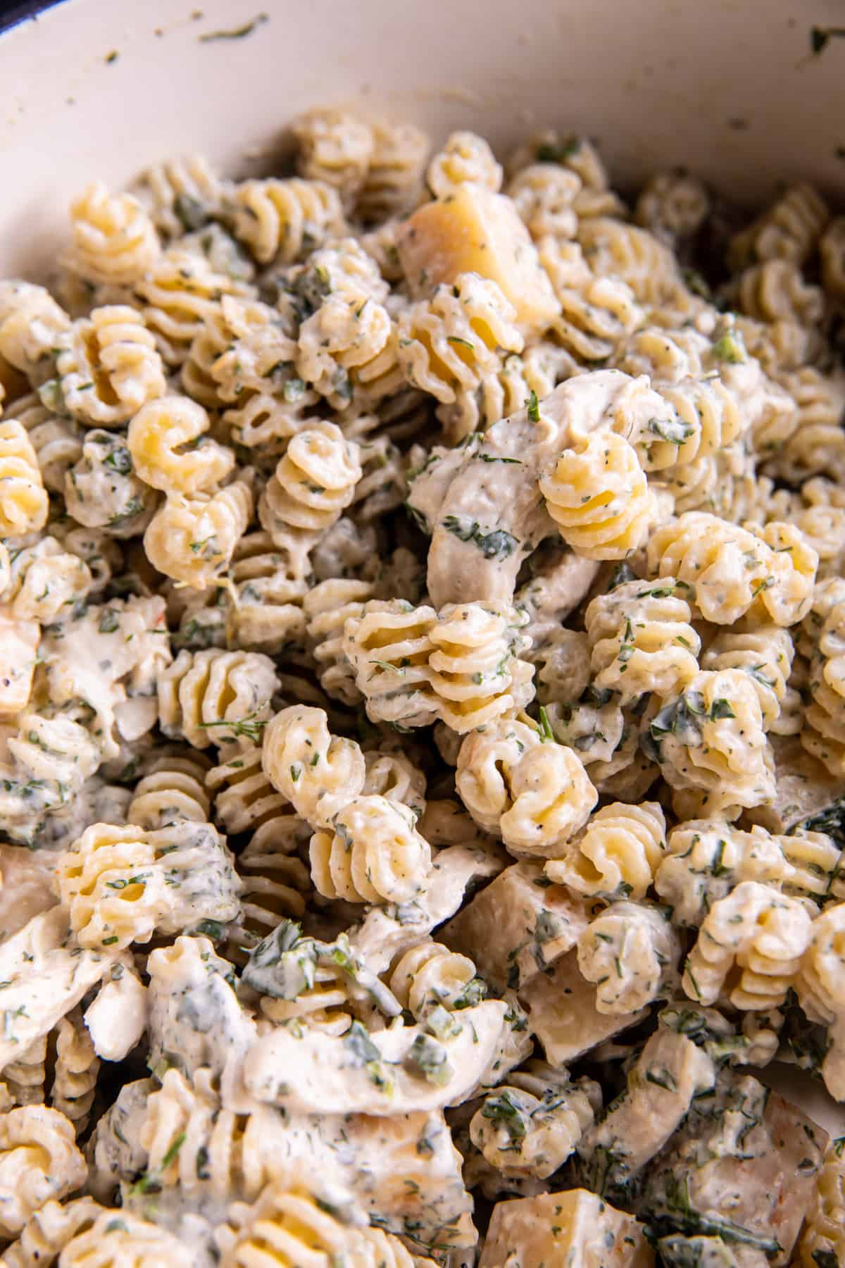 Creamy Avocado Ranch Chicken Pasta Salad | halfbakedharvest.com