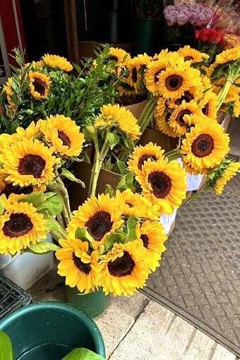 Nine Favorite Things