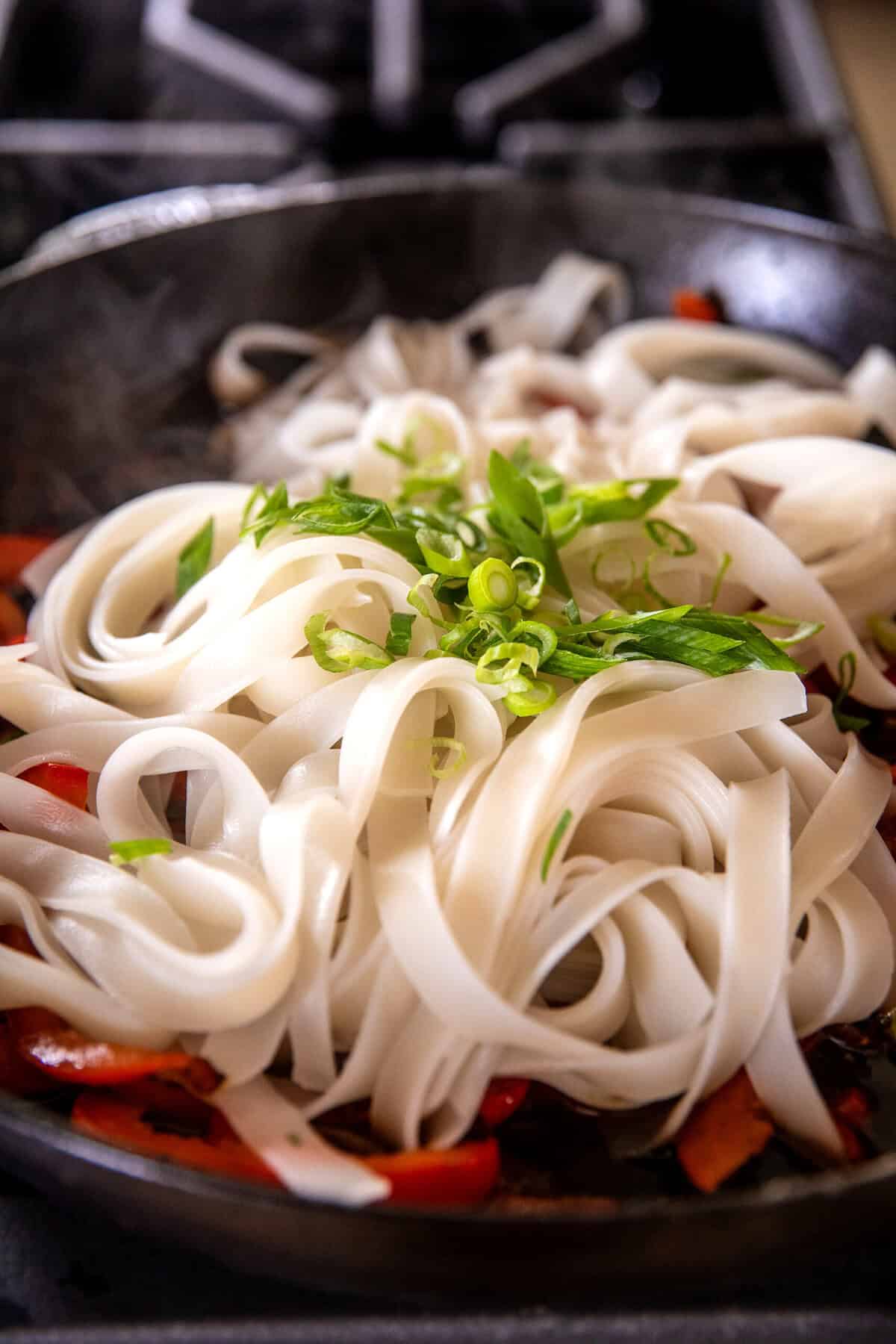 20 minute Crispy Garlic Chicken Noodles | halfbakedharvest.com
