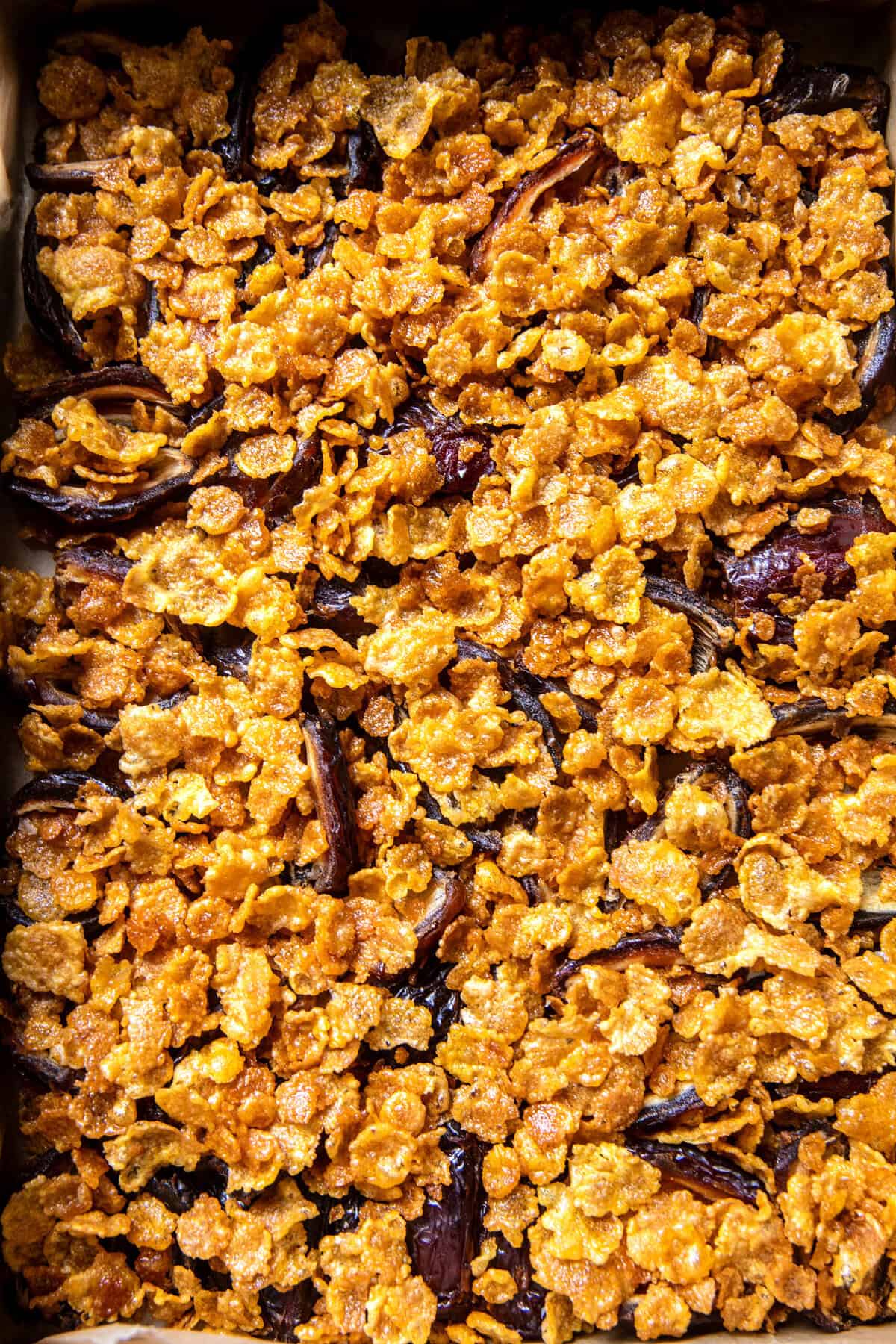 Chewy Chocolate Peanut Butter Crunch Bars | halfbakedharvest.com