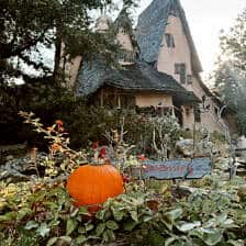 nine favorite things