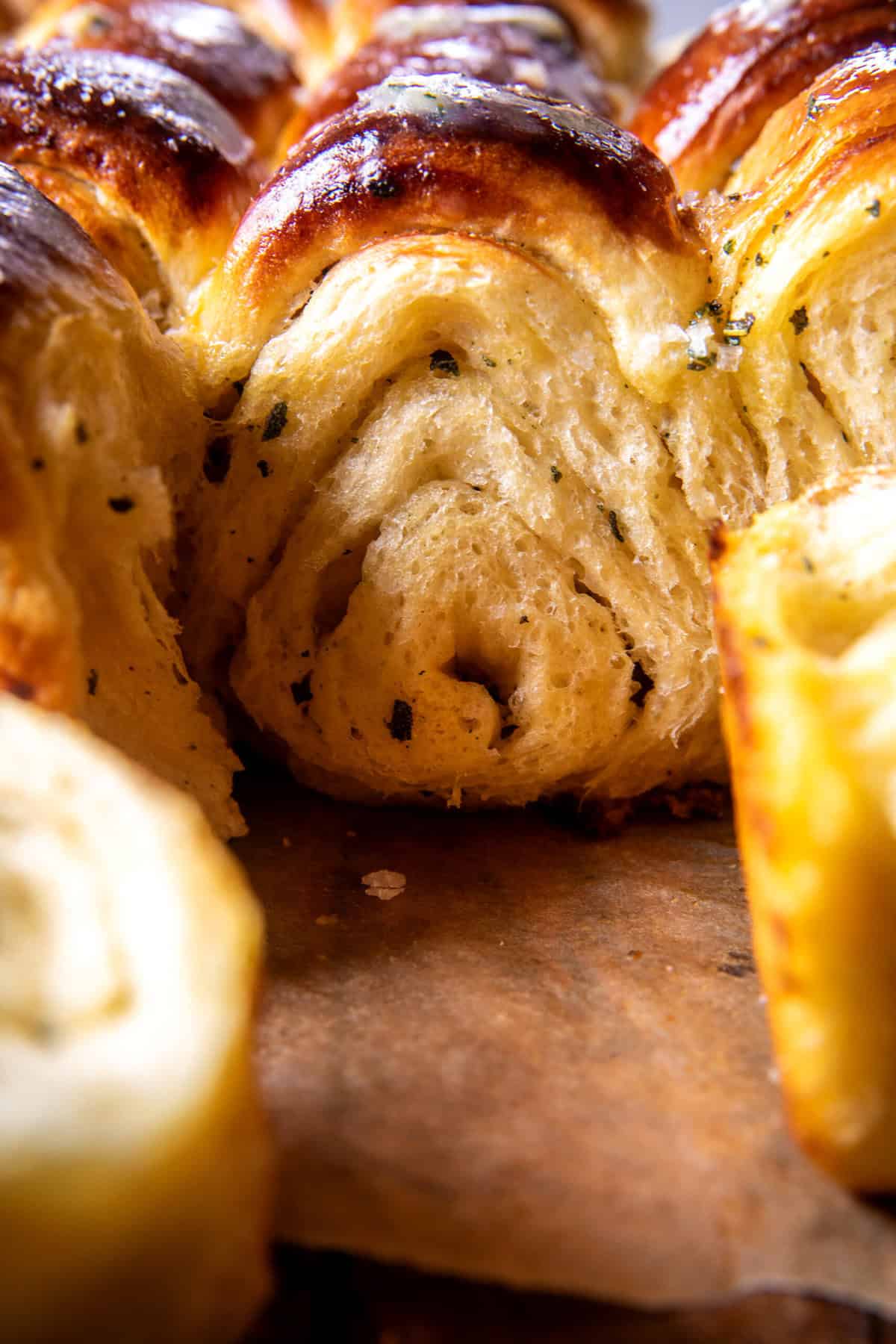 Salted Sage Honey Butter Brioche Rolls | halfbakedharvest.com