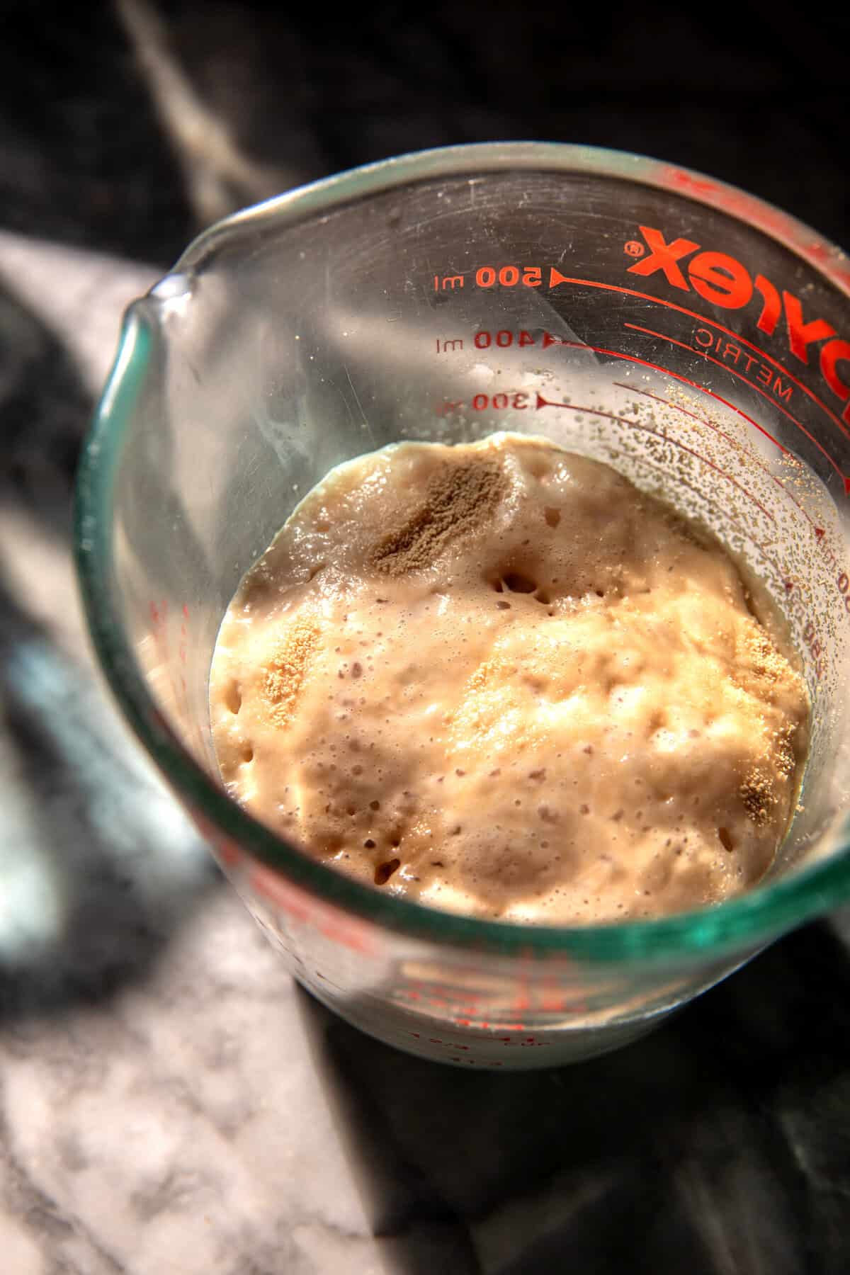 Salted Sage Honey Butter Brioche Rolls | halfbakedharvest.com