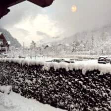 Nine Favorite Things | halfbakedharvest.com