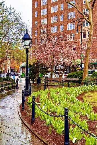 Nine Favorite Things | halfbakedharvest.com