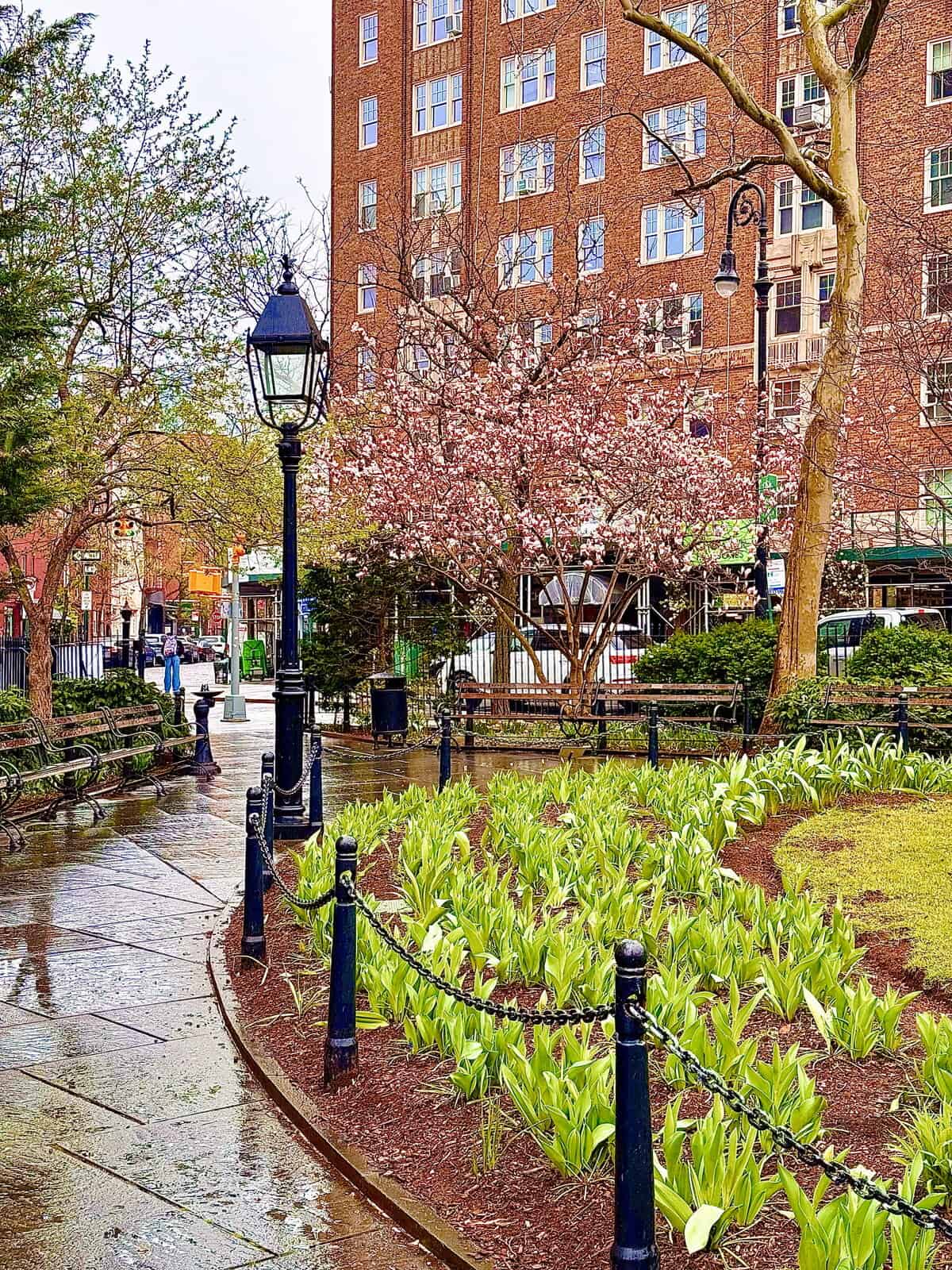 Nine Favorite Things | halfbakedharvest.com