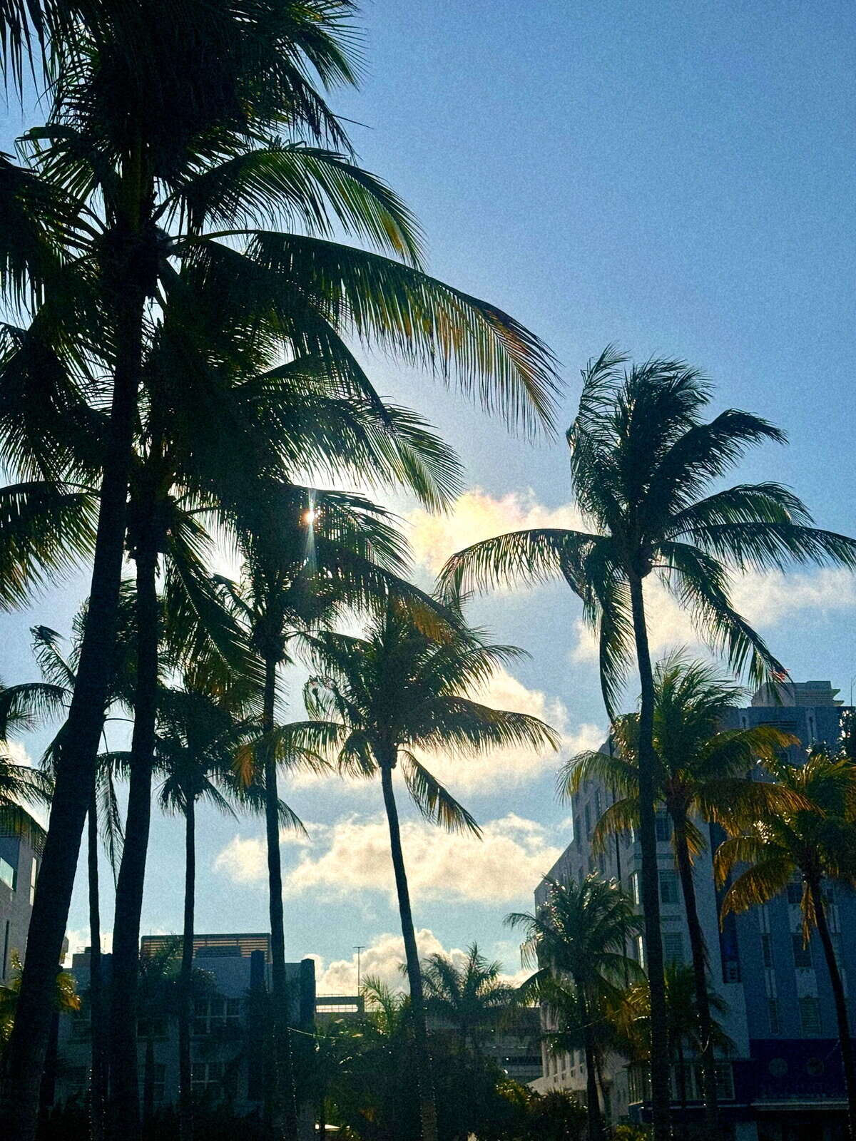 Nine Favorite Things | halfbakedharvest.com