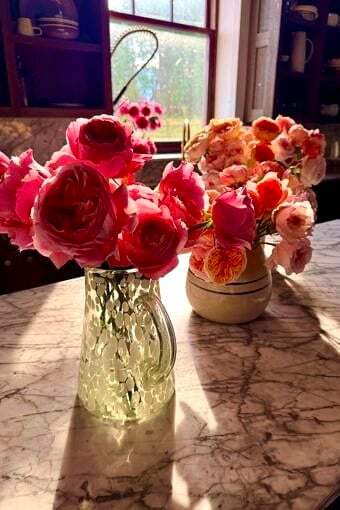 Nine Favorite Things | halfbakedharvest.com