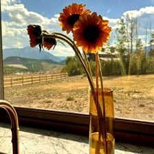 Nine Favorite Things | halfbakedharvest.com