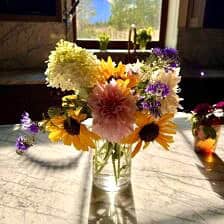 Nine Favorite Things | halfbakedharvest.com