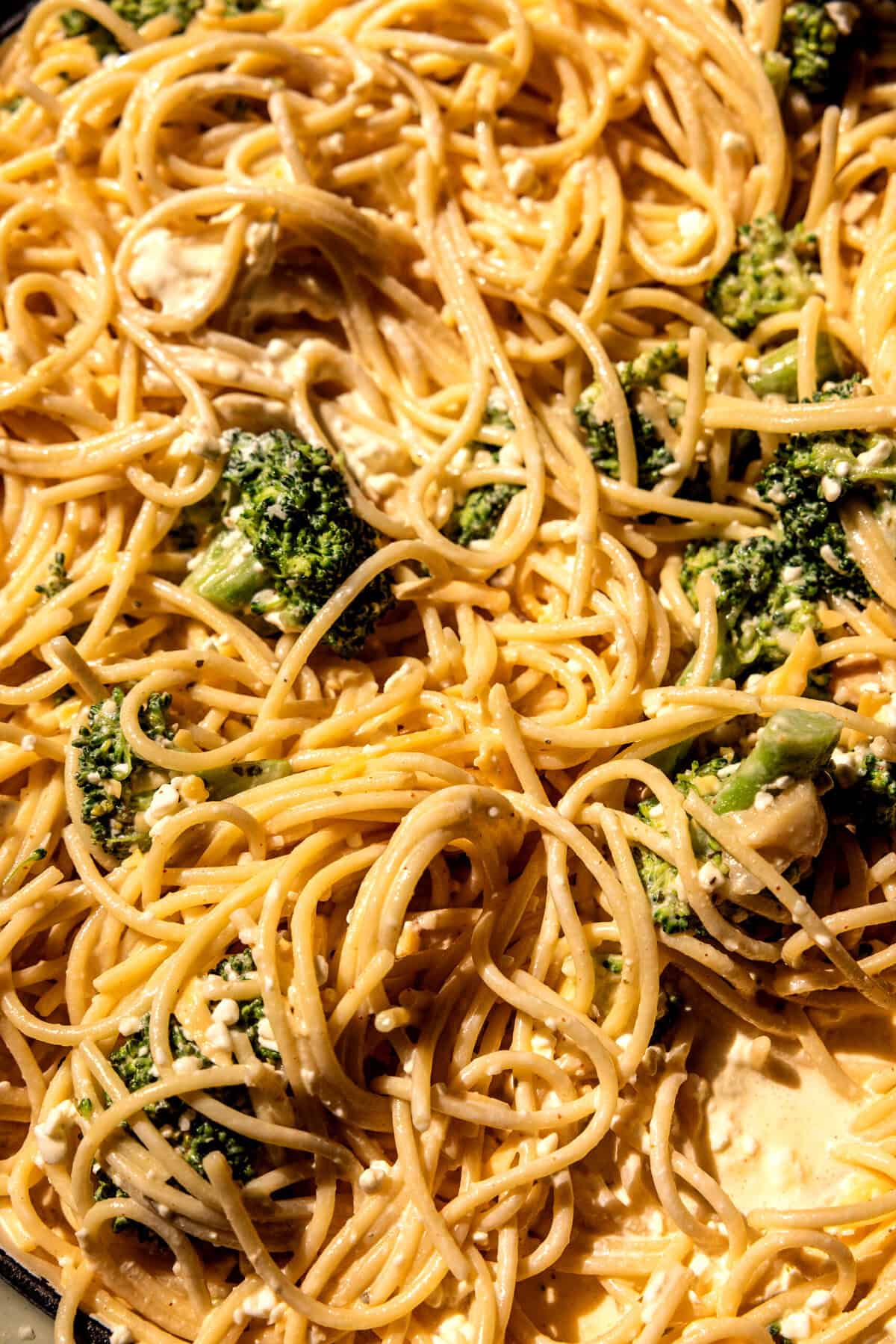 Broccoli Cheddar Spaghetti Casserole | halfbakedhavrest.com