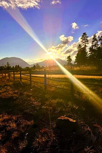 Nine Favorite Things | halfbakedharvest.com