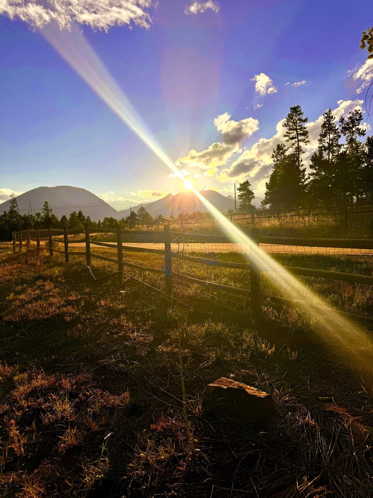 Nine Favorite Things | halfbakedharvest.com