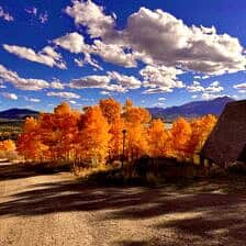 Nine Favorite Things | halfbakedharvest.com