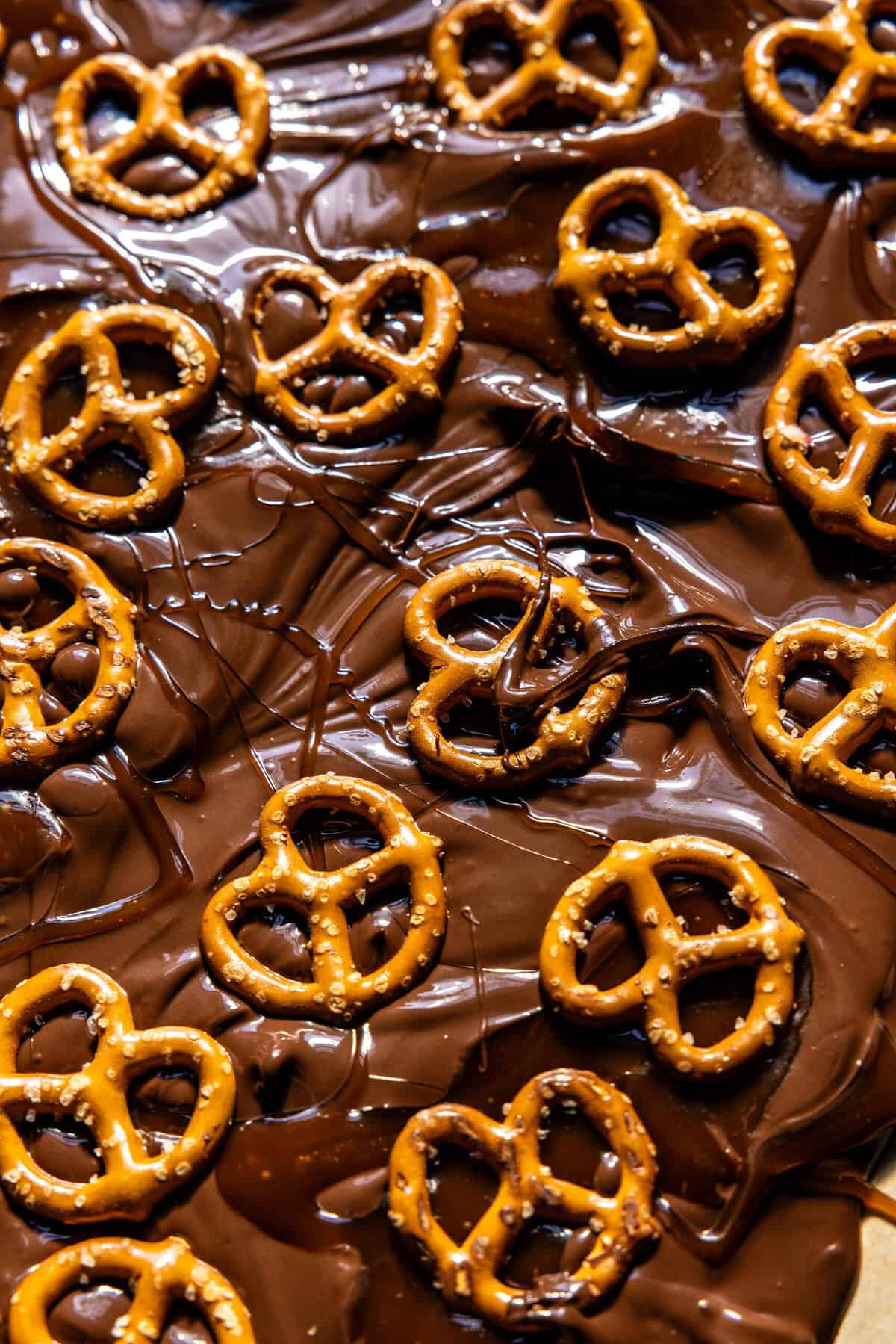 Salted Chocolate Caramel Apple Bark | halfbakedharvest.com