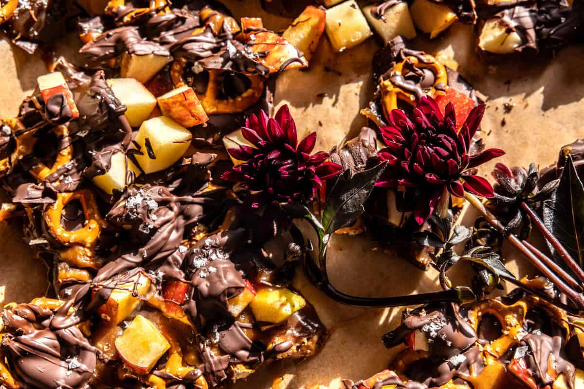 Salted Chocolate Caramel Apple Bark | halfbakedharvest.com