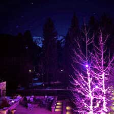 Nine Favorite Things | halfbakedharvest.com