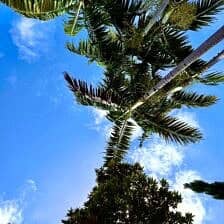 Nine Favorite Things | halfbakedharvest.com