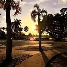 Nine Favorite Things | halfbakedharvest.com