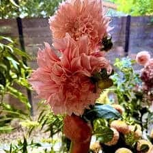 Nine Favorite Things | halfbakedharvest.com